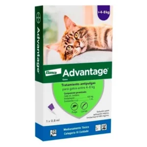 Advantage gatos 4-8 kilos (1 pipeta)