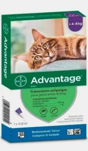Advantage gatos 4-8 kilos (1 pipeta)