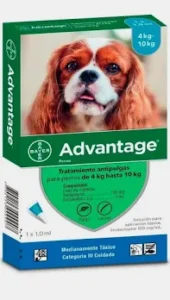 Advantage perros 4-10 kilos (1 pipeta)