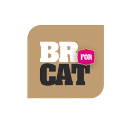 Nutrimascotas identidad de marca (10)