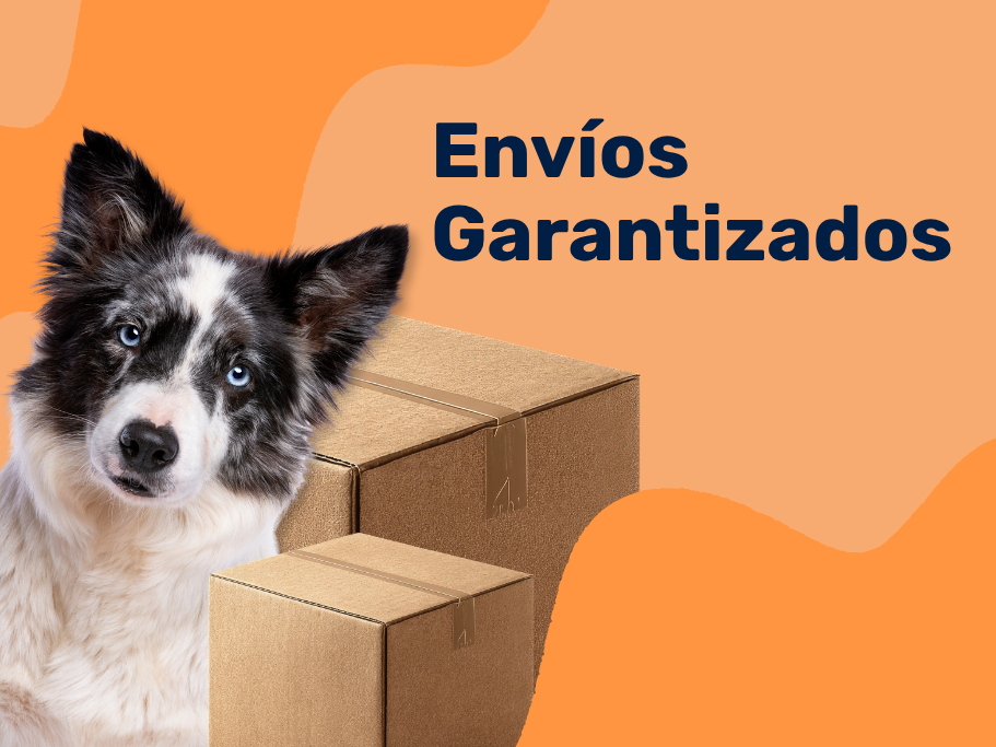 Nutrimascotas identidad de marca (22)