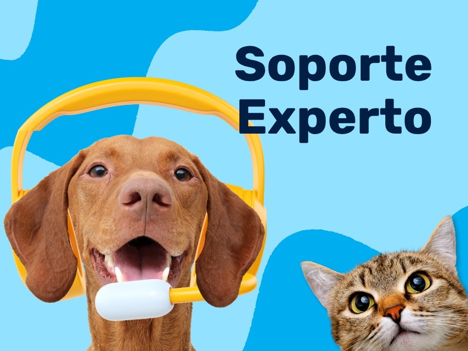 Nutrimascotas identidad de marca (23)