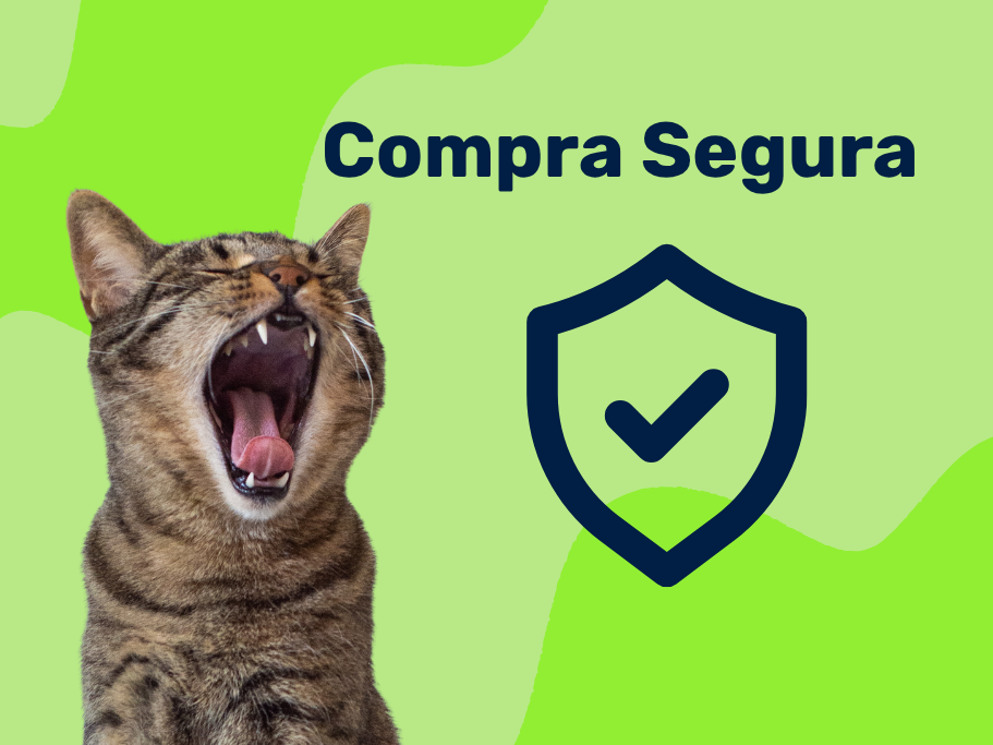 Nutrimascotas identidad de marca (25)