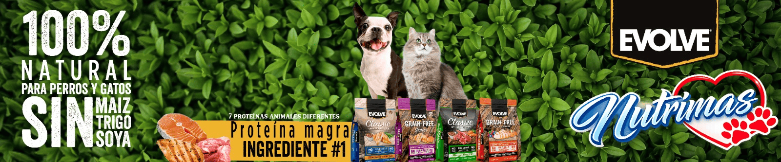 WhatsApp Image 2026-03-26 at 9.13.34 AM (1)