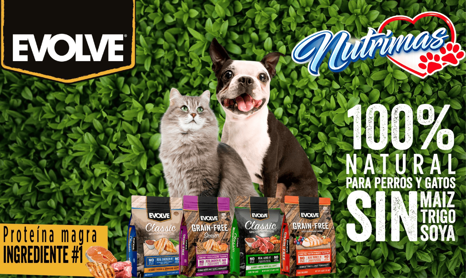 WhatsApp Image 2026-03-26 at 9.13.34 AM