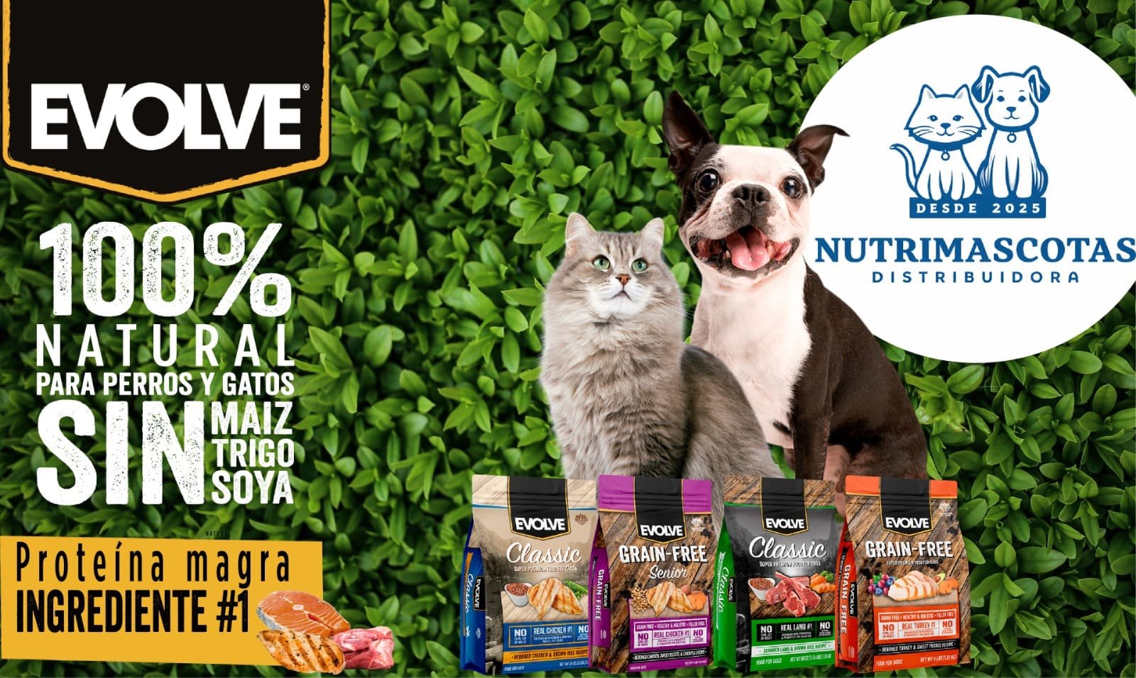 WhatsApp Image 2026-04-13 at 11.37.42 AM